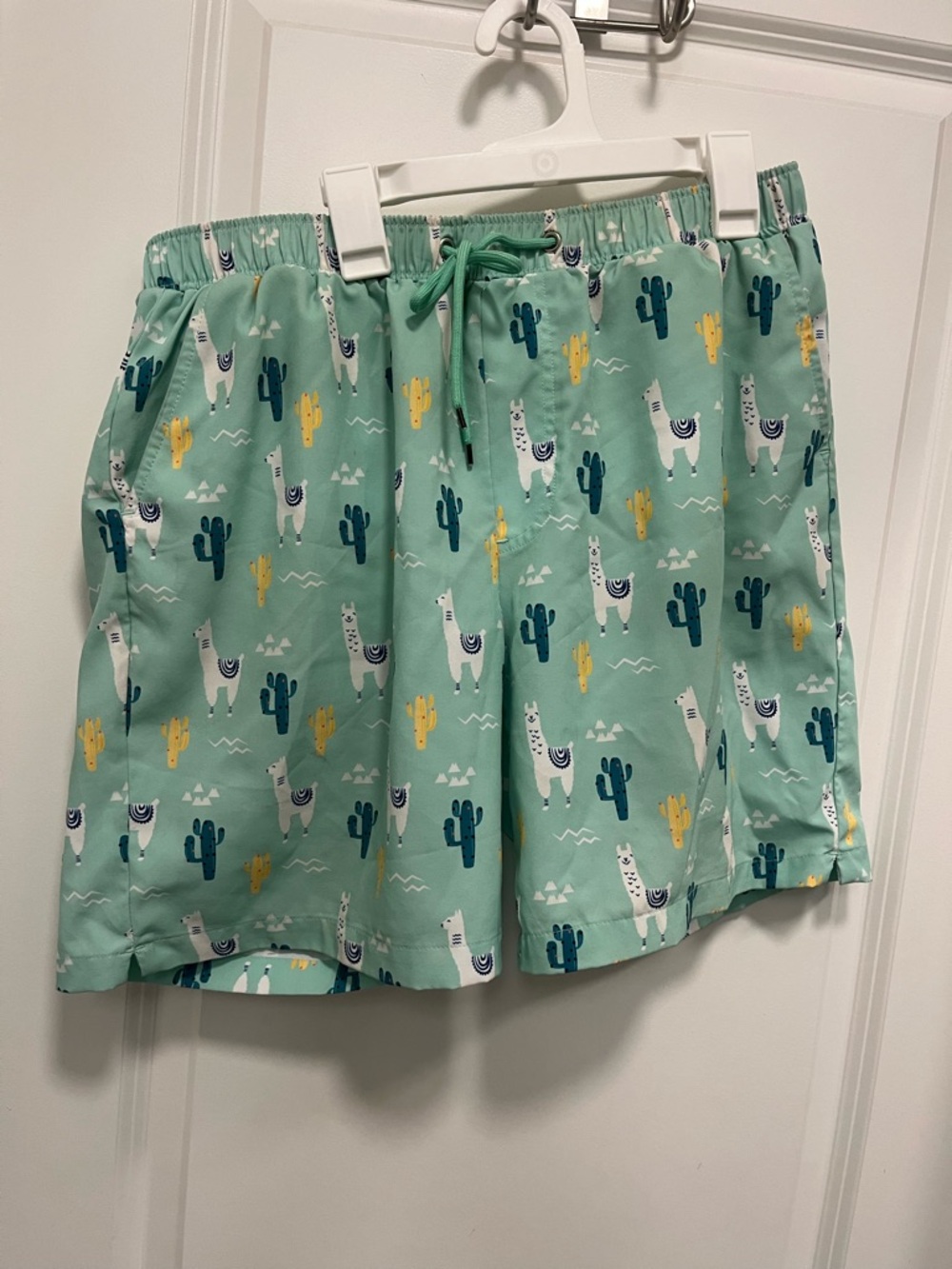 Mosmann Australia Llama Swim Trunks Size L Teal EUC With Liner